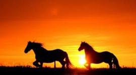 Timeline: U.S History,Doughty