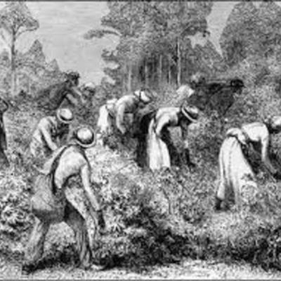 Timeline: African American History