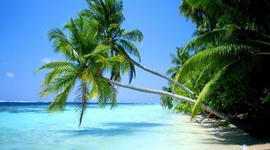 Timeline: Mi linea de la Vida