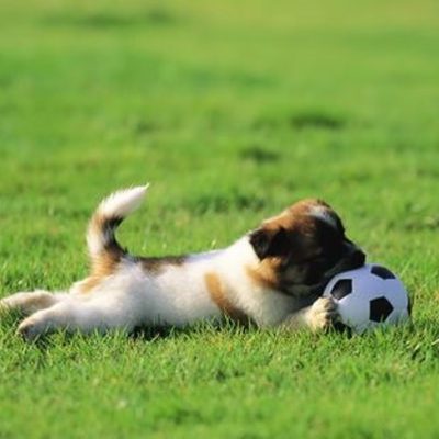 Timeline: Katie O'Connell's Timeline