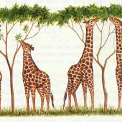 Timeline: If Charles Darwin hadn't led to his theory of natural selection, what would have happenes?