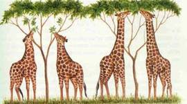 Timeline: If Charles Darwin hadn't led to his theory of natural selection, what would have happenes?