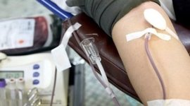 Timeline: Blood Transfusion
