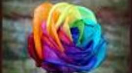 Timeline: linea temporal