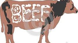 Timeline: Frozen Beef Export By Migue and Rafa
