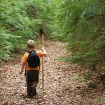 Timeline: THE GIVER BOOK