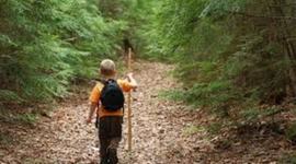 Timeline: THE GIVER BOOK