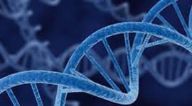 Timeline: History of Biology