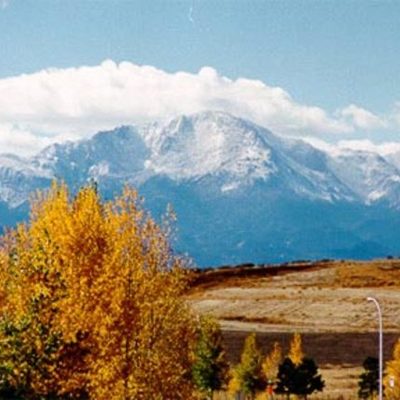 Timeline: History Homework