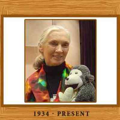 Timeline: Jane Goodall