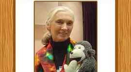 Timeline: Jane Goodall