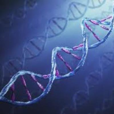 Timeline: History of Biology