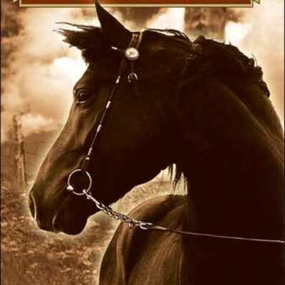 Timeline: War Horse Timeline