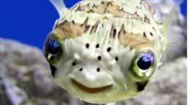 Timeline: U.S History timeline,D. Bryson