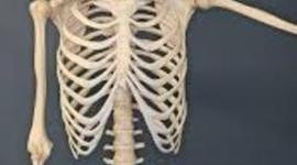 Timeline: Famous Dead Guy