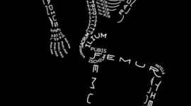 Timeline: Scarlett Famous Dead Guy