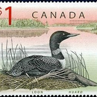 Timeline: Confederation