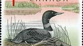 Timeline: Confederation