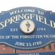 Welcome to springfield 2