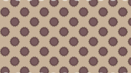 Timeline: Biografía de Sonia