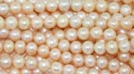 Timeline: the start of a few fashion brands