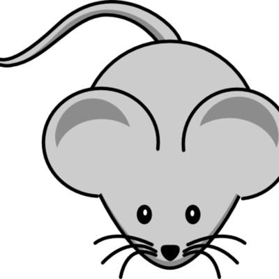 Timeline: 7th Grade Mousepad Calendar