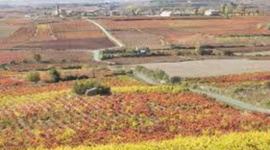 Timeline: MAHATSAREN HISTORIA