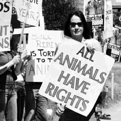 Timeline: Animal Rights Movement Timeline