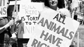 Timeline: Animal Rights Movement Timeline