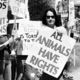 Animal rights 1