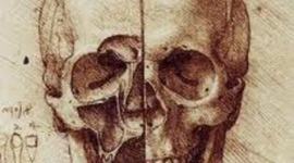 Timeline: Medical History Timeline