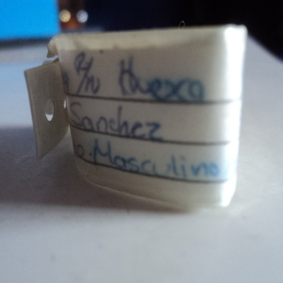 Timeline: Mi Biografia