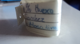 Timeline: Mi Biografia