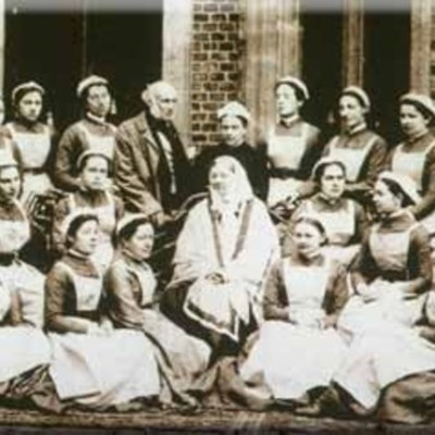 Timeline: Teorizantes