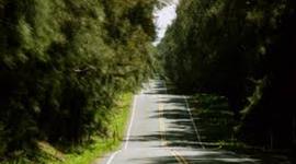 Timeline: Road to Revolution