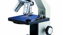 Timeline: The History of Microscopes and Cell Theory