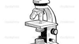 Timeline: The History of Microscopes and the Cell Theory