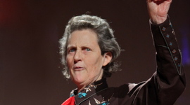 Timeline: Temple Gradnin