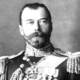 Czarnicholasii