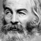 • walt whitman