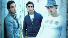 Timeline: Fondo Flamenco