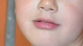 Timeline: Los recuerdos de David