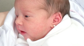 Timeline: Rafaela Valentina Sartori