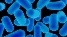 Timeline: History of Science