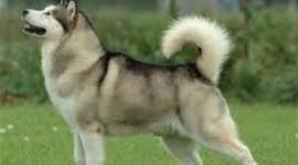 Timeline: negativ one