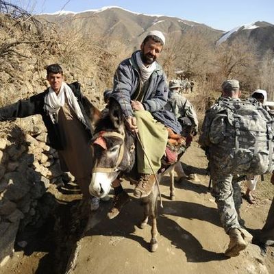 Timeline: Modern Afghan History