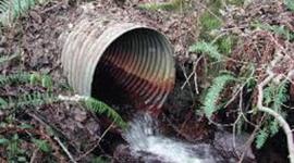 Timeline: WSDOT Fish Passage Barrier Removal Program