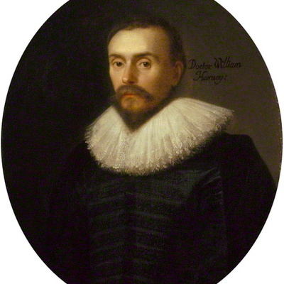 Timeline: William Harvey