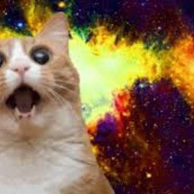 Timeline: paracelesus