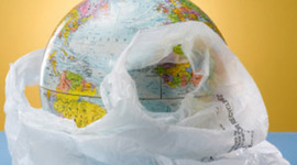 Timeline: Plastic Bag Ban Policy in Olympia, WA